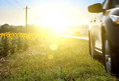 阳光保险——有了车险，还需要驾乘险吗?